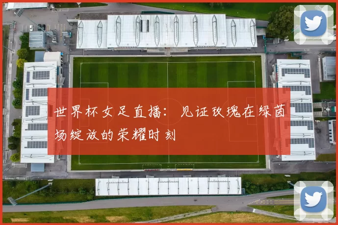 世界杯女足直播：见证玫瑰在绿茵场绽放的荣耀时刻