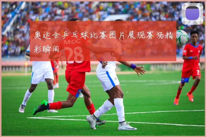 奥运会乒乓球比赛图片展现赛场精彩瞬间