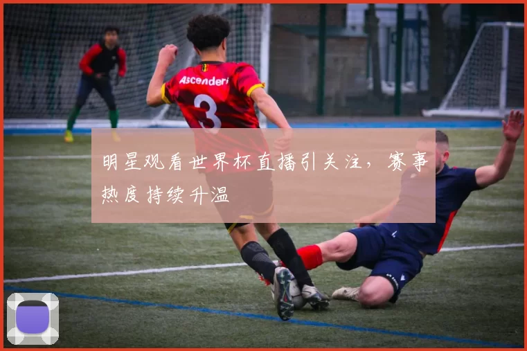 明星观看世界杯直播引关注，赛事热度持续升温