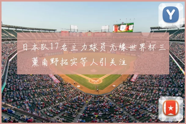 日本队17名主力球员无缘世界杯三笘薰南野拓实等人引关注