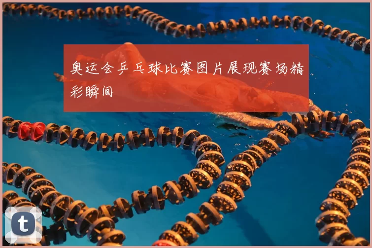奥运会乒乓球比赛图片展现赛场精彩瞬间