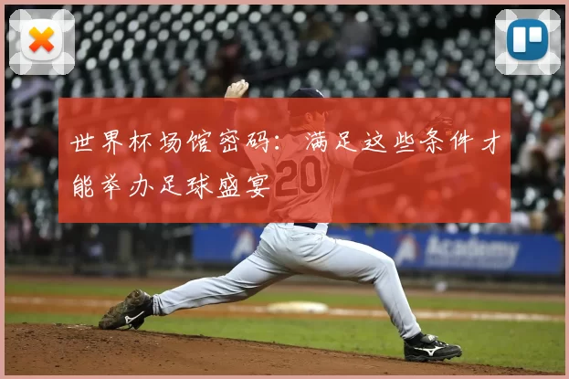世界杯场馆密码：满足这些条件才能举办足球盛宴
