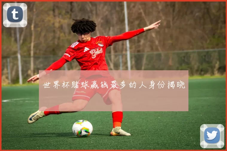 世界杯赌球赢钱最多的人身份揭晓