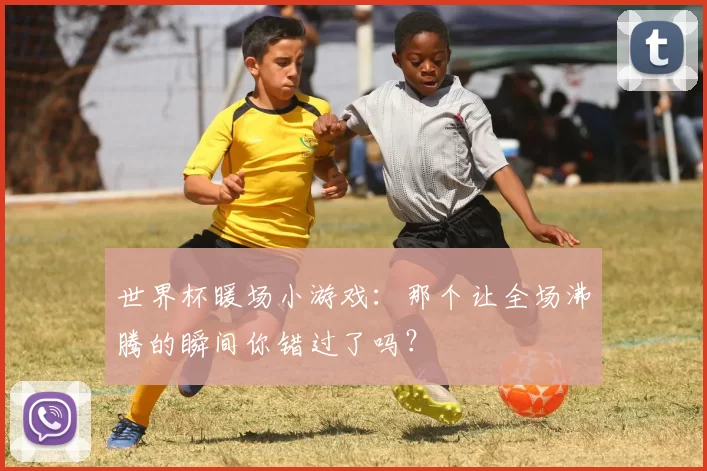 世界杯暖场小游戏：那个让全场沸腾的瞬间你错过了吗？