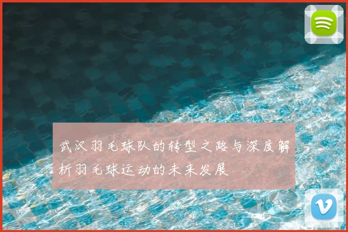 武汉羽毛球队的转型之路与深度解析羽毛球运动的未来发展