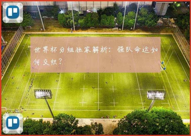 世界杯分组独家解析:强队命运如何交织?