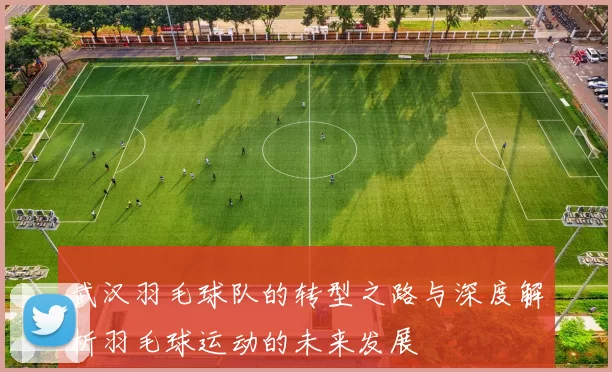 武汉羽毛球队的转型之路与深度解析羽毛球运动的未来发展