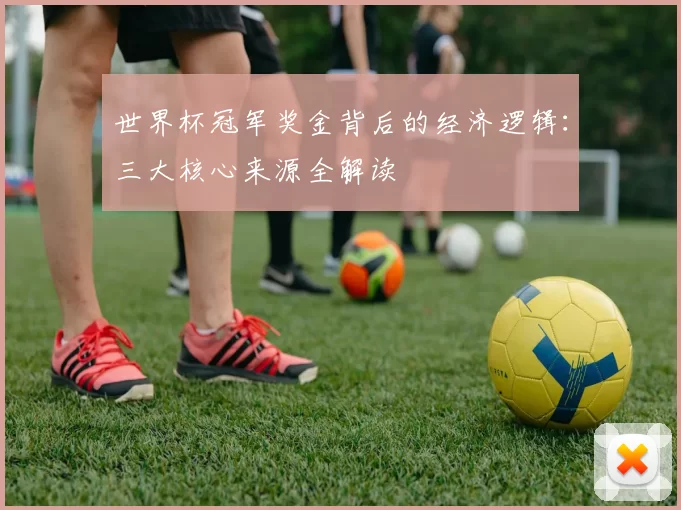 世界杯冠军奖金背后的经济逻辑：三大核心来源全解读